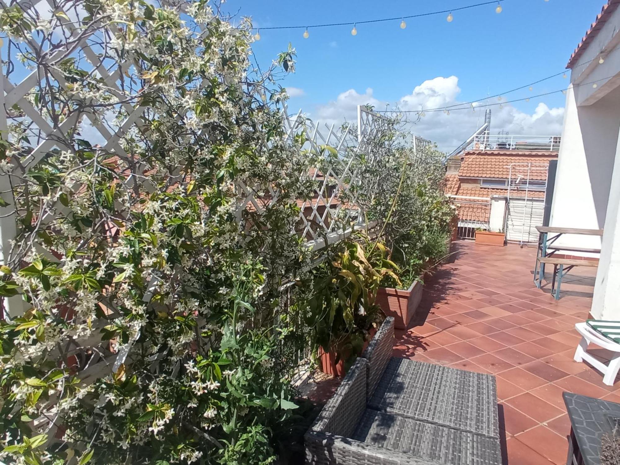 Rooftop Appia Antica,Silenzioso Riservato Two Bedrooms Two Bathrooms Rome Luaran gambar